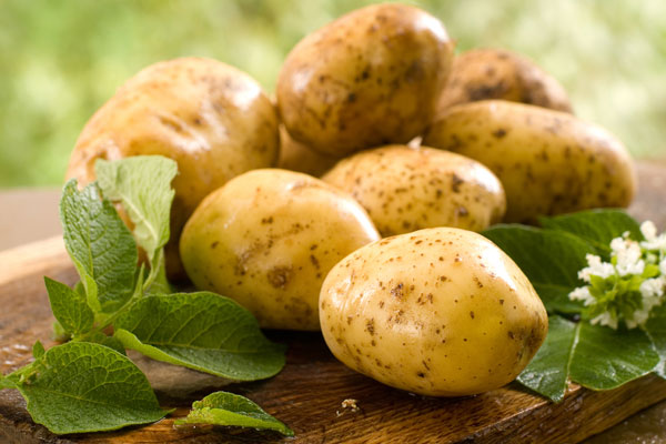 О пользе молодого картофеля