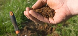 Что делать с кислой почвой