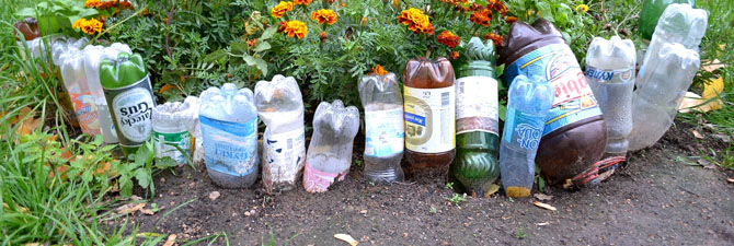 клумбы из пластиковых бутылок