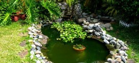 Как оформить искусственный водоем в саду