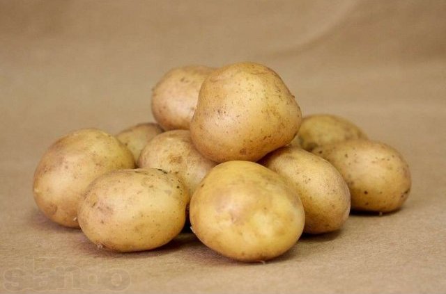 Чтобы картофель вырос крупным