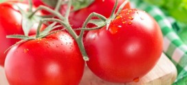 Секреты выращивания вкусных помидоров