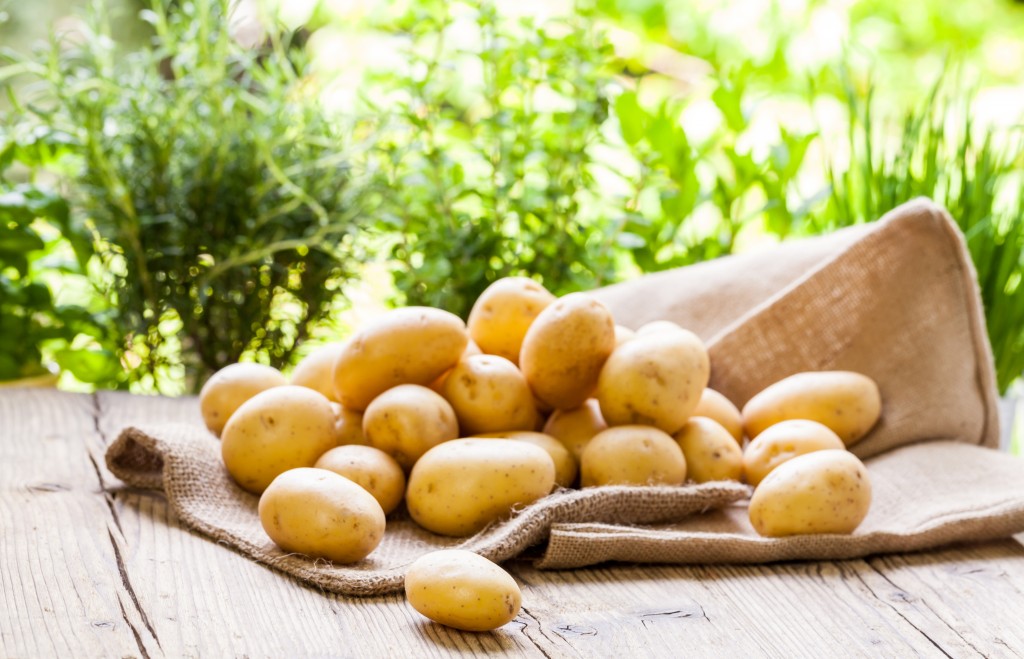 5 правил получения хорошего урожая картофеля