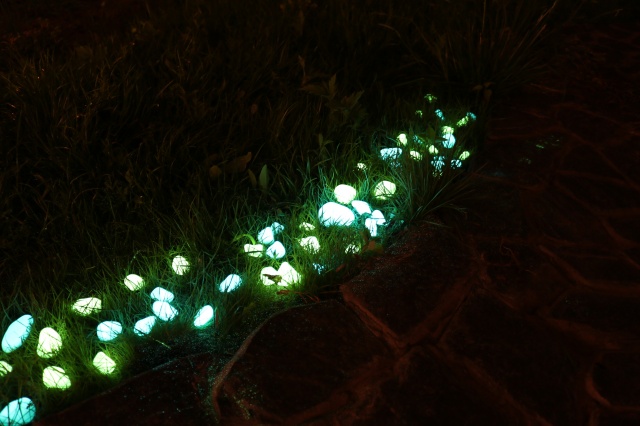 Светящиеся натуральные камни возле садовой дорожки 