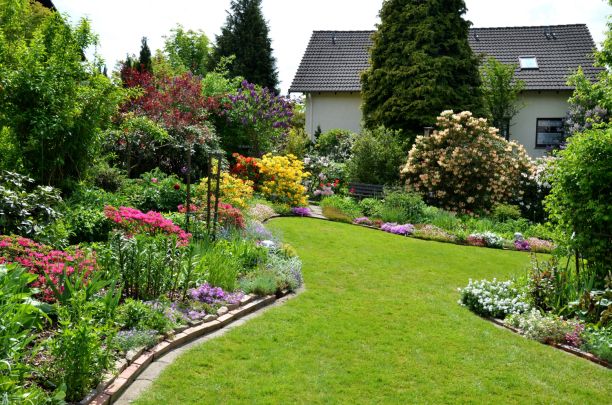 Украсьте свой сад газоном